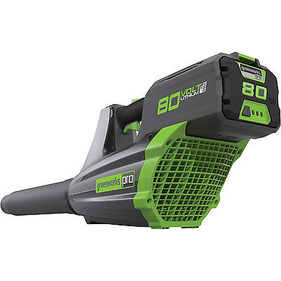 10. Greenworks Pro GBL80300