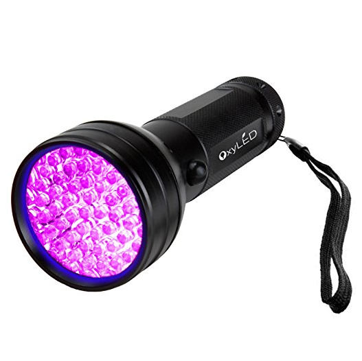 9. OXYled OXYWild