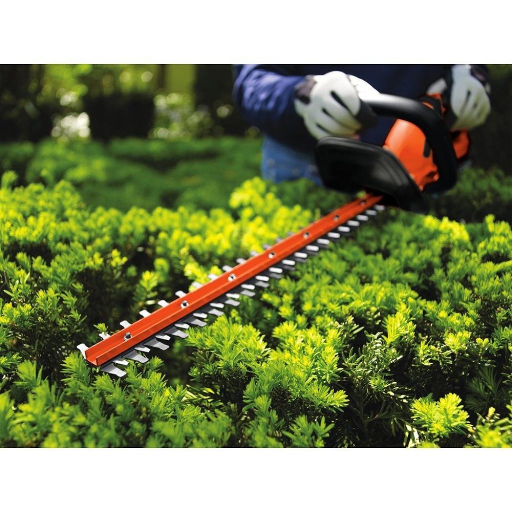 Best Hedge Trimmers Reviews & Comparison 2024 | EarlyExperts