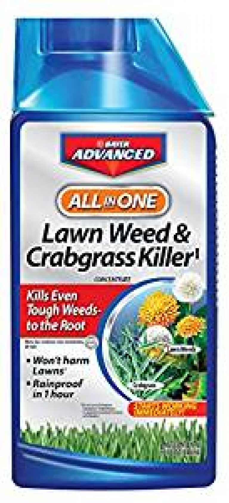 How To Kill Crabgrass For A Perfect Lawn EarlyExperts