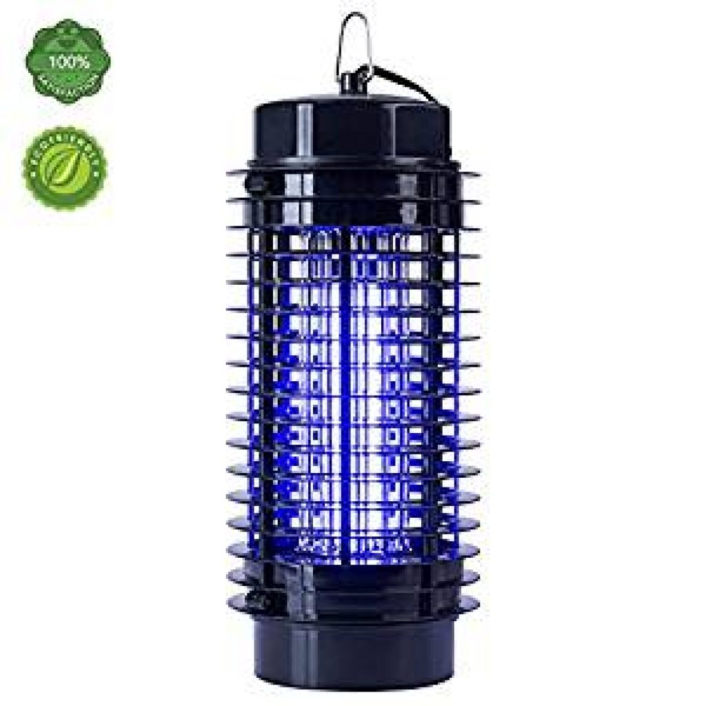 How to Get Rid of Stink Bugs Guide 2022 EarlyExperts