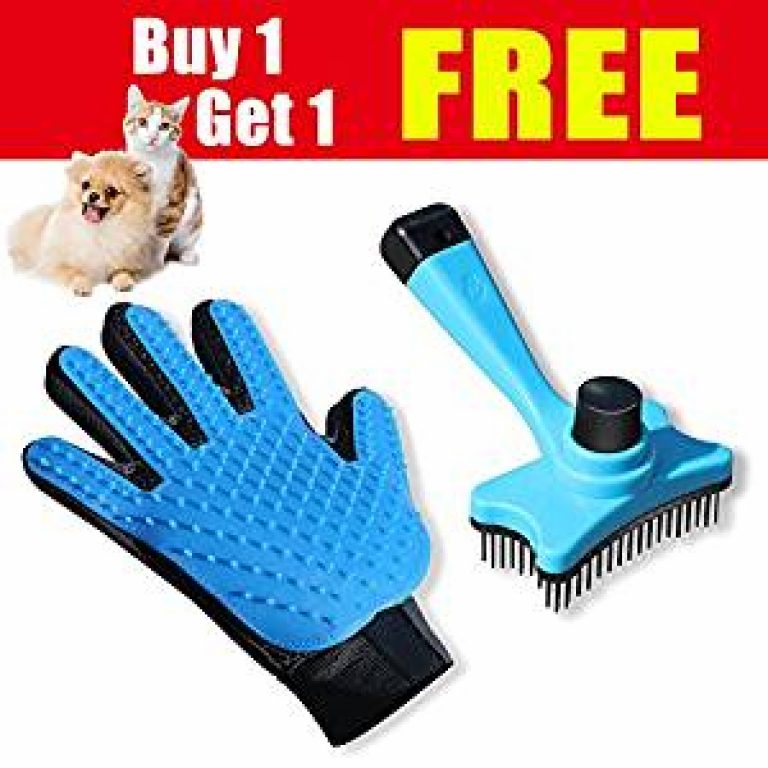 Pet Hair Removal From Carpet, Beds & Furniture EarlyExperts