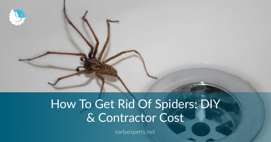 How To Get Rid Of Spiders Diy Contractor Cost Earlyexperts