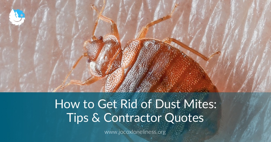How To Get Rid Of Dust Mites Free Quotes Earlyexperts