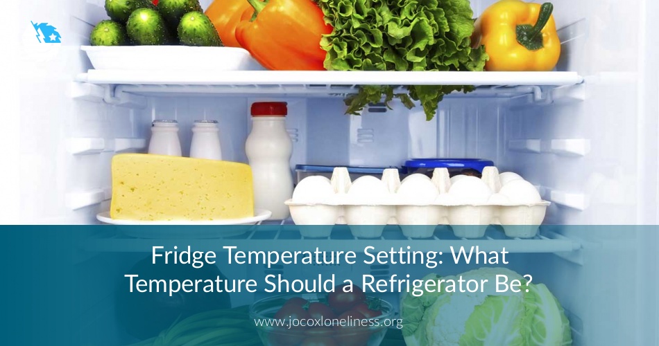 What Temperature Should a Refrigerator Be? JocoxLoneliness