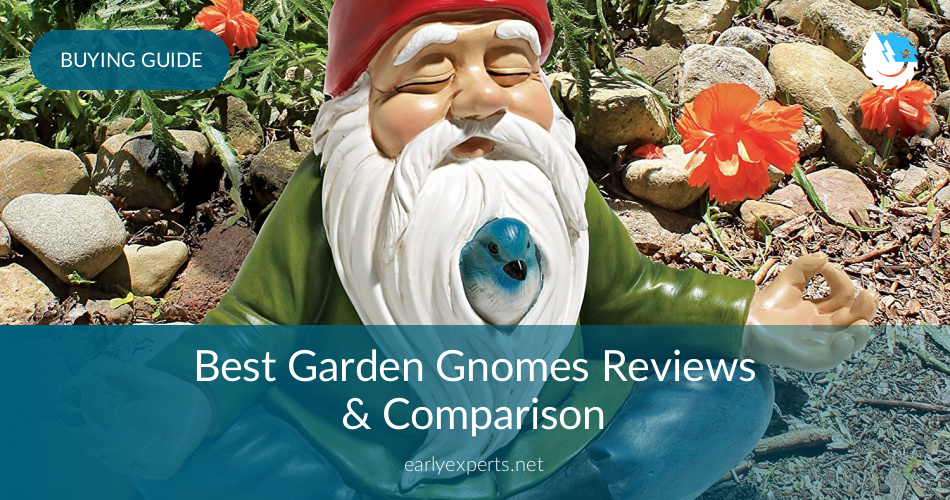 Best Garden Gnomes Reviews Comparison In 2020 Earlyexperts