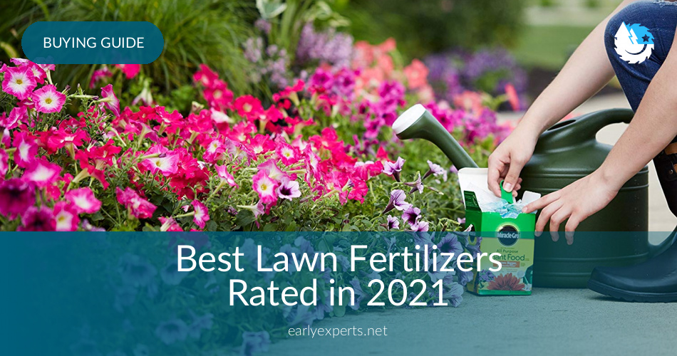 Best Lawn Fertilizers Reviewed In 2020 Earlyexperts Best Lawn Fertilizers Reviewed In 2020